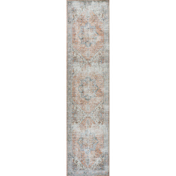 Armae Distressed Medallion Chenille Machine-washable Area Rug